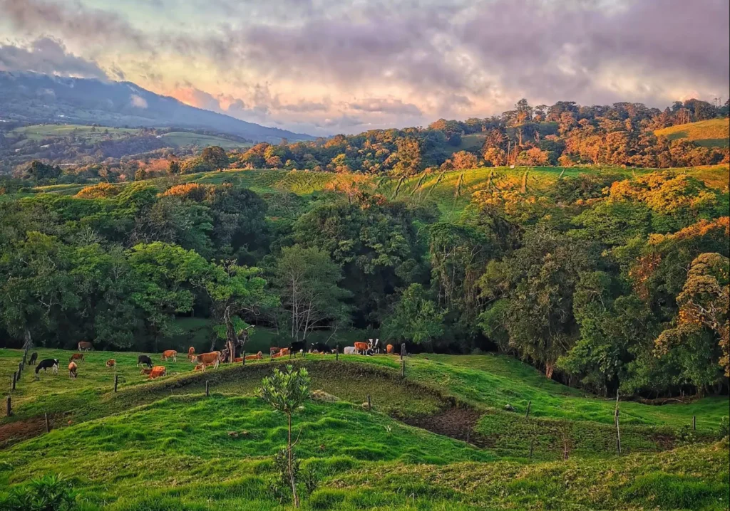 Paisaje de potrero en fraijanes.