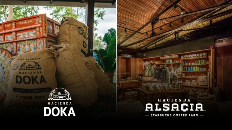 Guía para Visitar las Haciendas de Café del Volcán Poás
