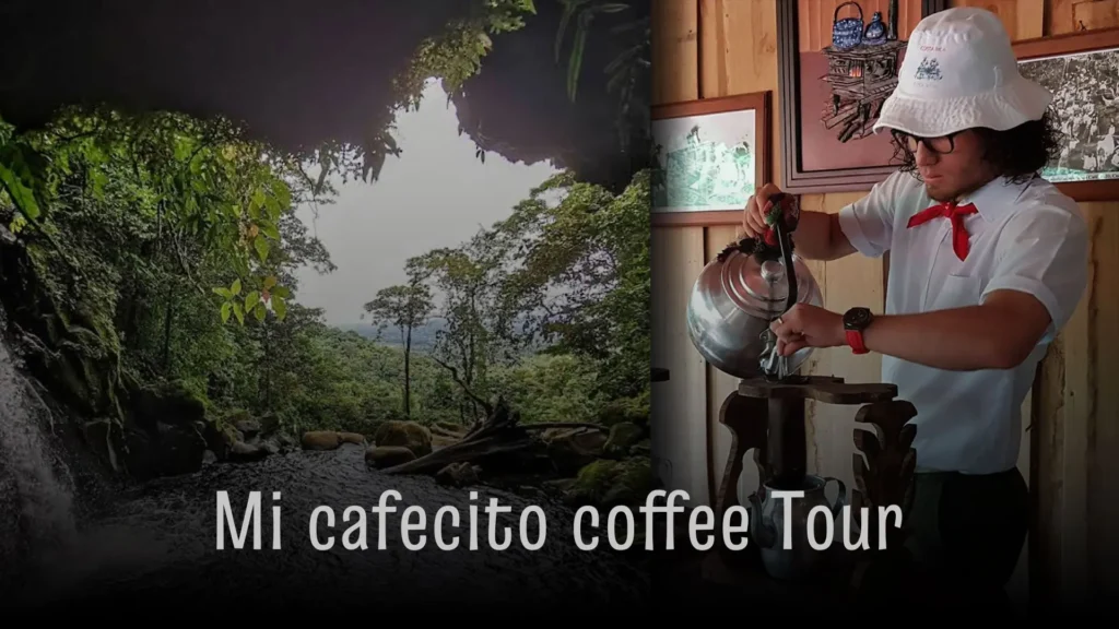 mi cafecito coffee tour información