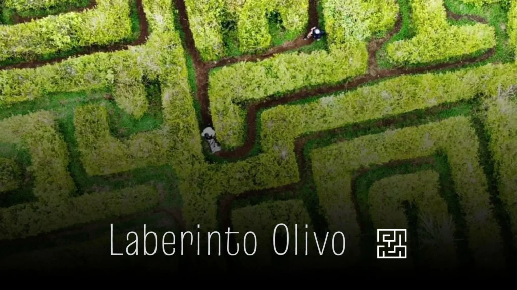 Vista aerea del laberinto olivos en Fraijanes