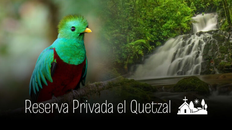 Reserva Privada el Quetzal en Vara Blanca