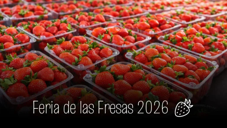 Feria de las fresas 2026 vara blanca costa rica